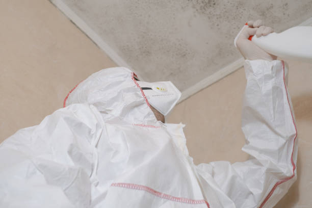 Certified Mold Removal in Clayton, NM
